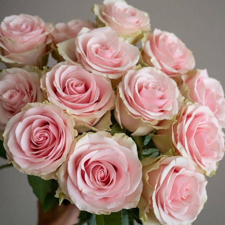 Hand Tied Rose Bouquet
