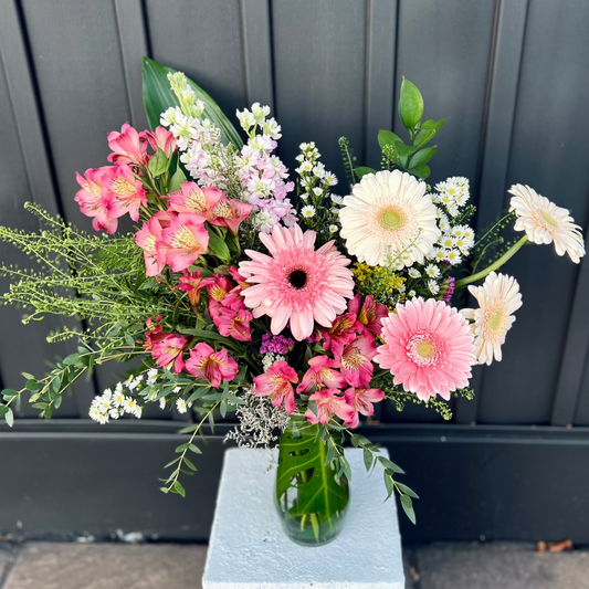 Designer's  Choice Special