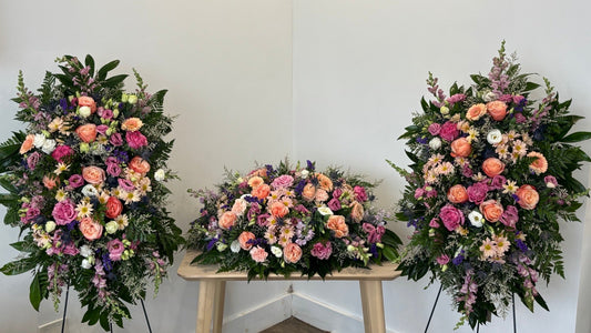 Eternal Peace Collection